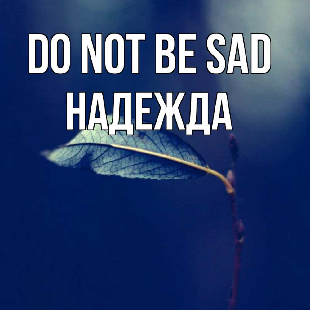 Greetings card с именем, Надежда Do not be sad растение Greetings with text for free download 