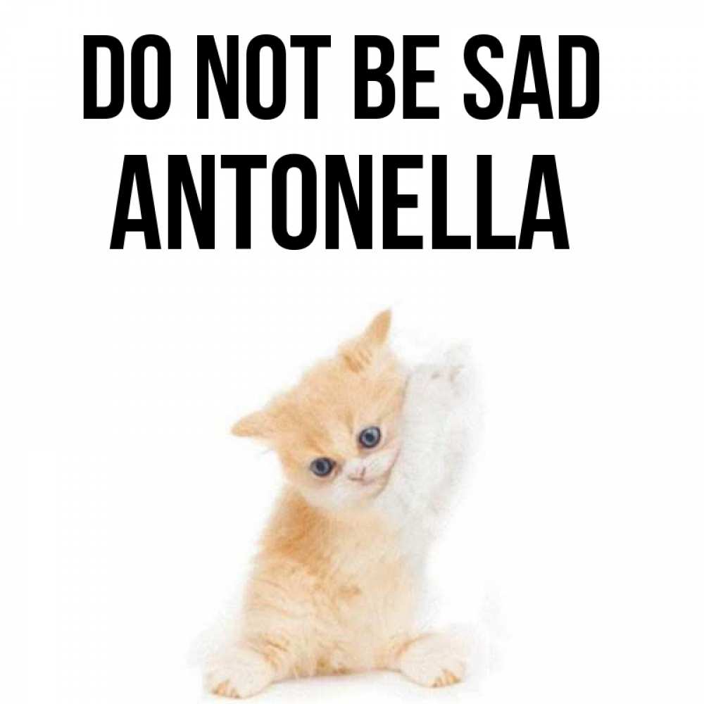 Greetings card с именем, Antonella Do not be sad просящий кот Greetings with text for free download 