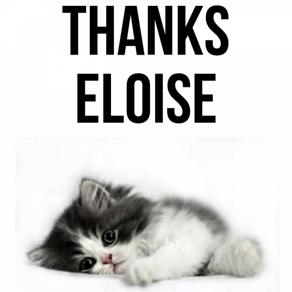 Greetings card с именем, Eloise Thanks черный и белый кот Greetings with text for free download 