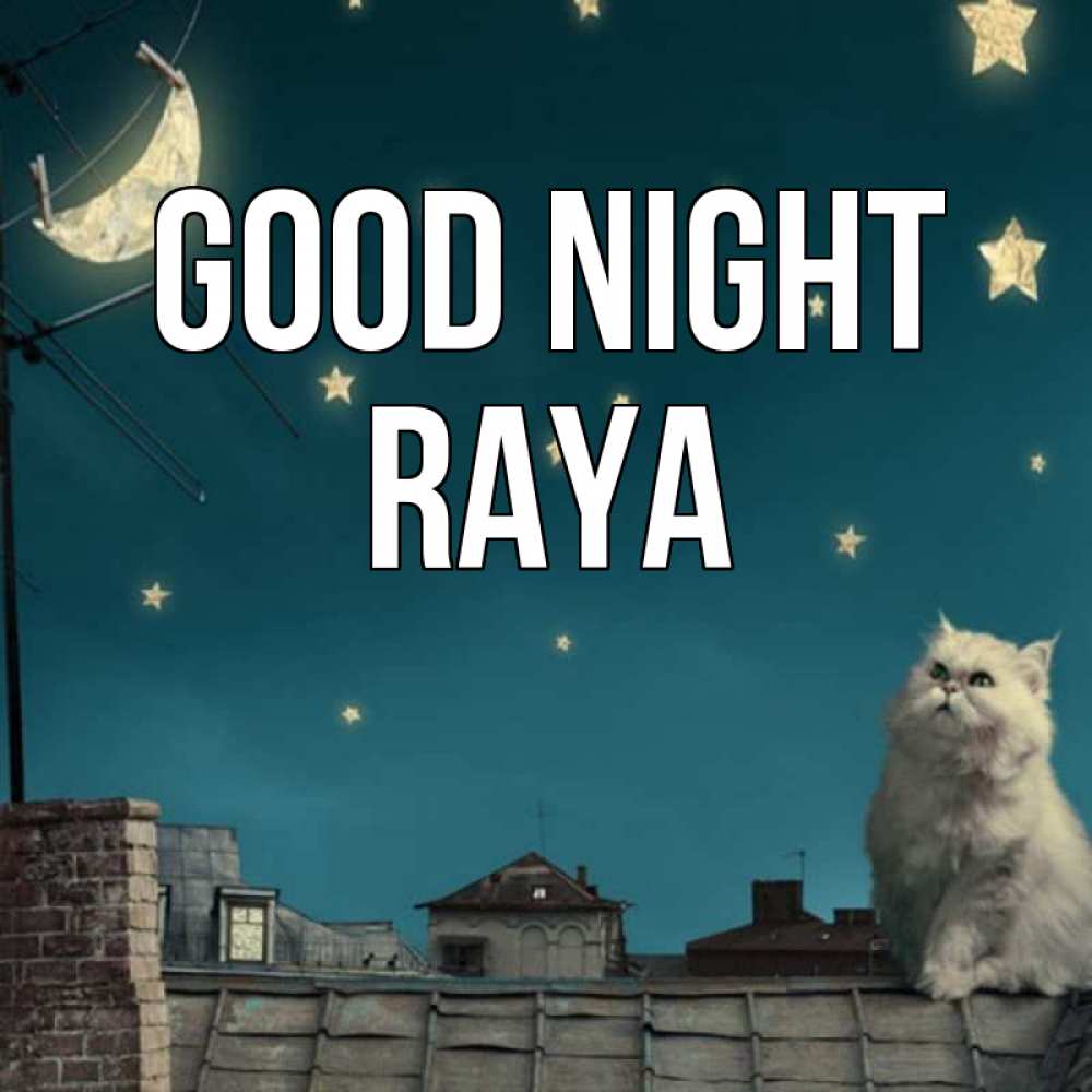 Greetings card с именем, Raya Good night белый кот сидит на крыше Greetings with text for free download 