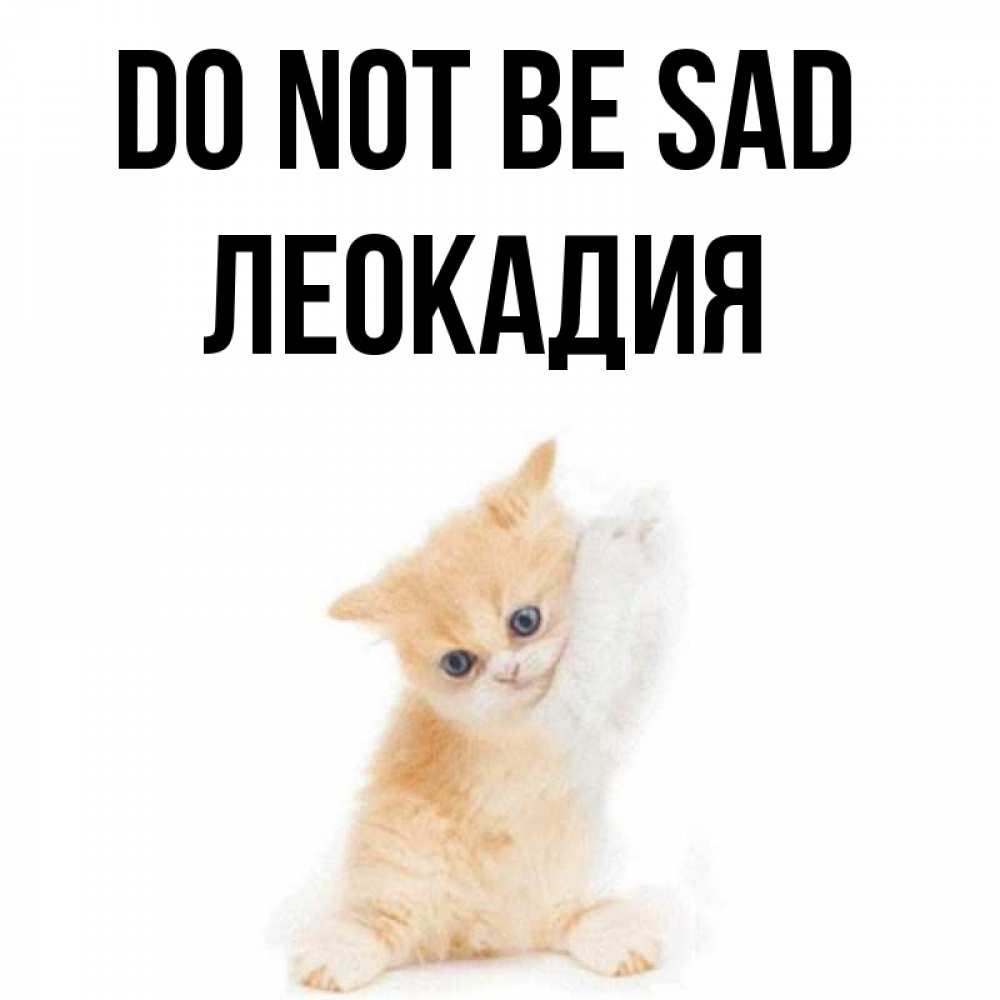 Greetings card с именем, Леокадия Do not be sad просящий кот Greetings with text for free download 