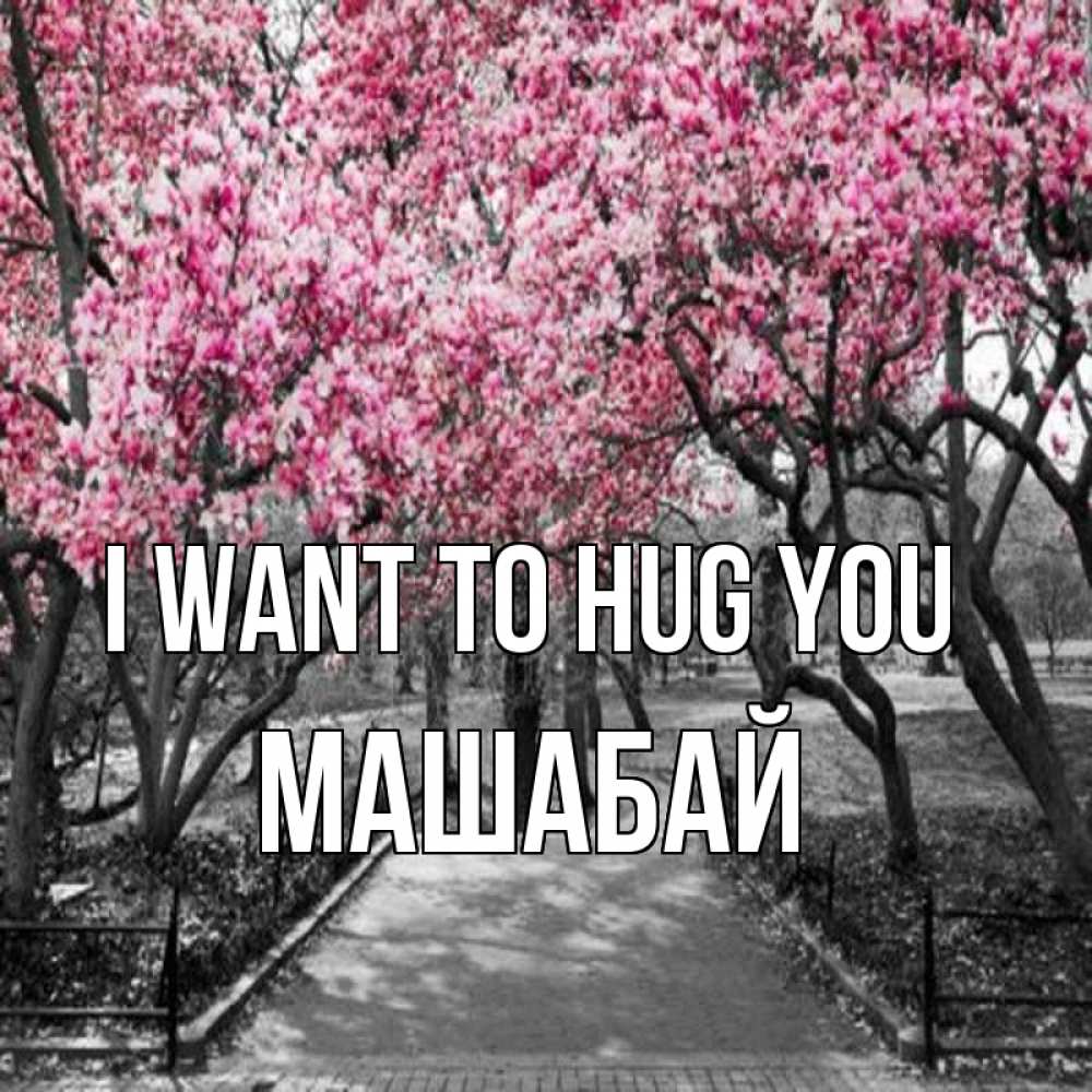 Greetings card с именем, МАШАБАЙ I want to hug you обработанное фото Greetings with text for free download 