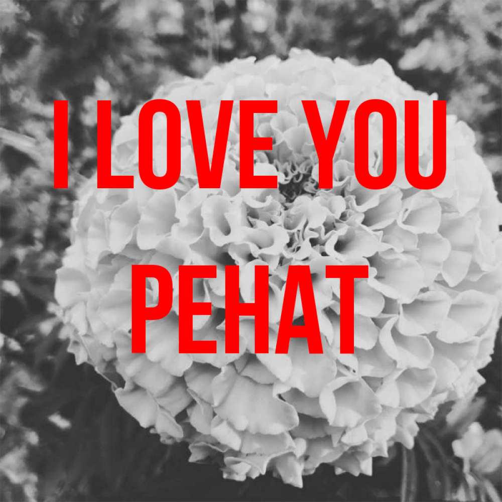 Greetings card с именем, РЕНАТ I love you подпись Greetings with text for free download 