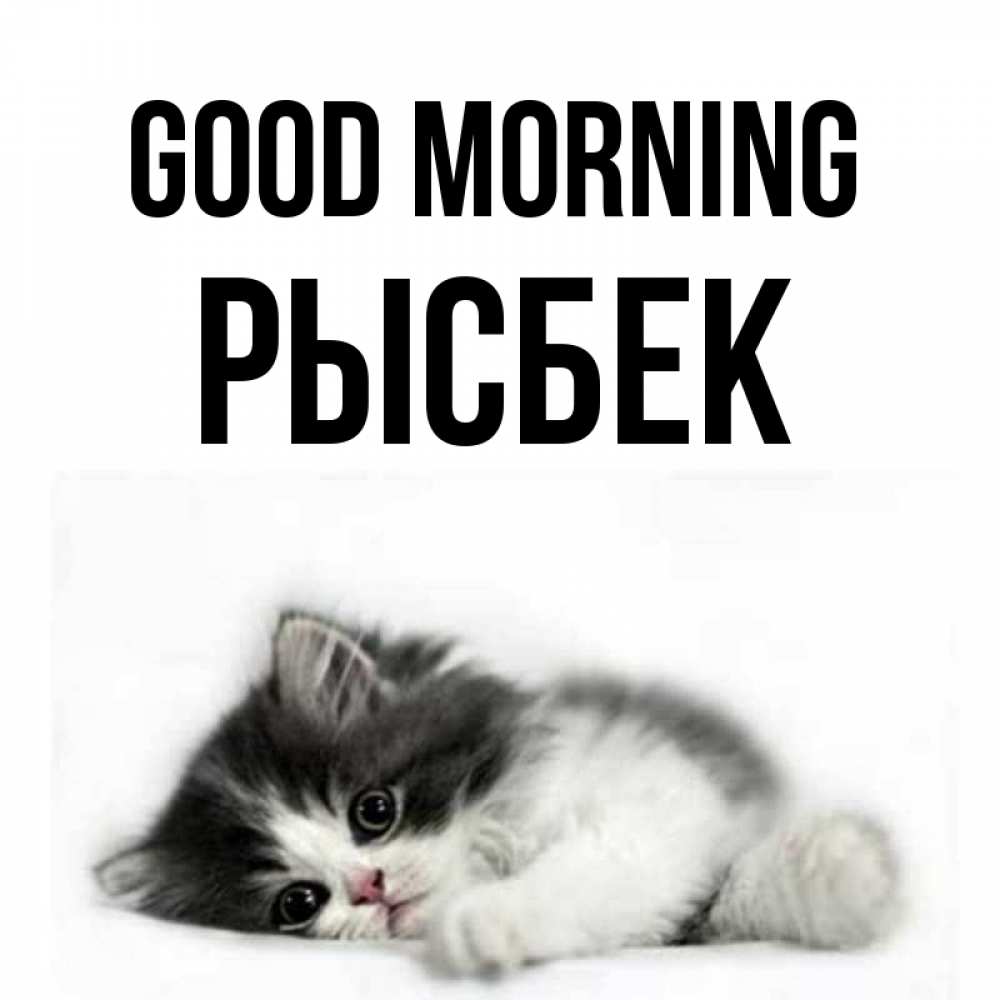 Greetings card с именем, РЫСБЕК Good morning кот лапки Greetings with text for free download 