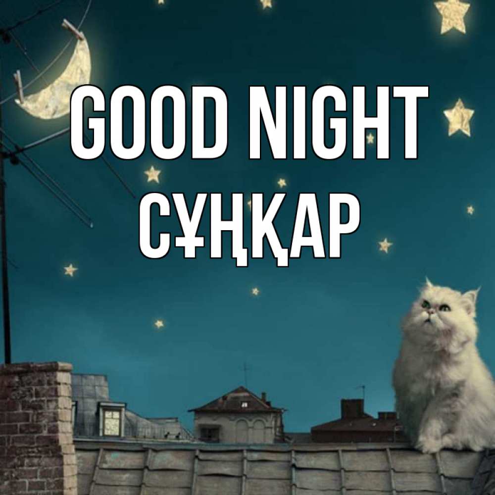 Greetings card с именем, СҰҢҚАР Good night белый кот сидит на крыше Greetings with text for free download 