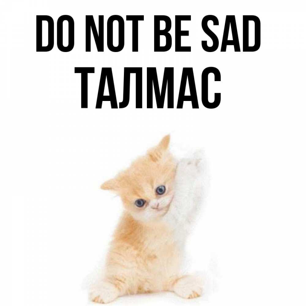 Greetings card с именем, ТАЛМАС Do not be sad просящий кот Greetings with text for free download 
