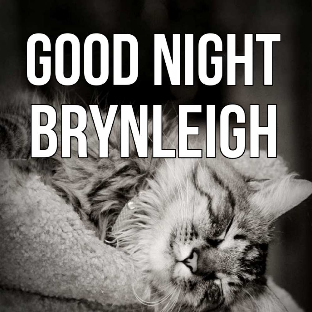 Greetings card с именем, Brynleigh Good night котярик пушистый Greetings with text for free download 