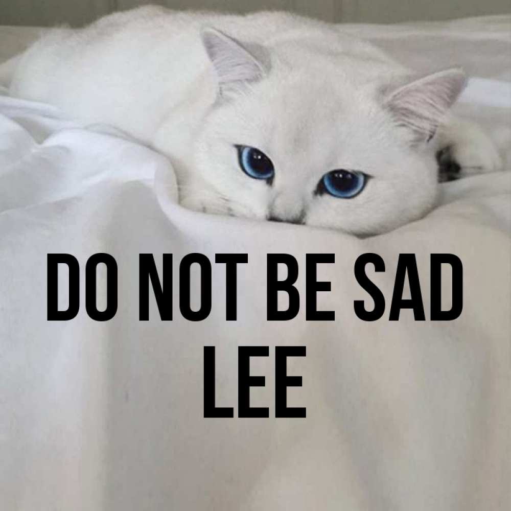 Greetings card с именем, Lee Do not be sad Голубоглазая кошка Greetings with text for free download 