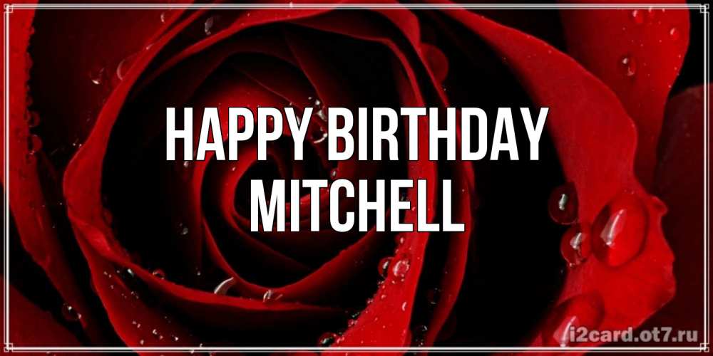 Greetings card с именем, Mitchell Happy Birthday крупная бордовая роза Greetings with text for free download 