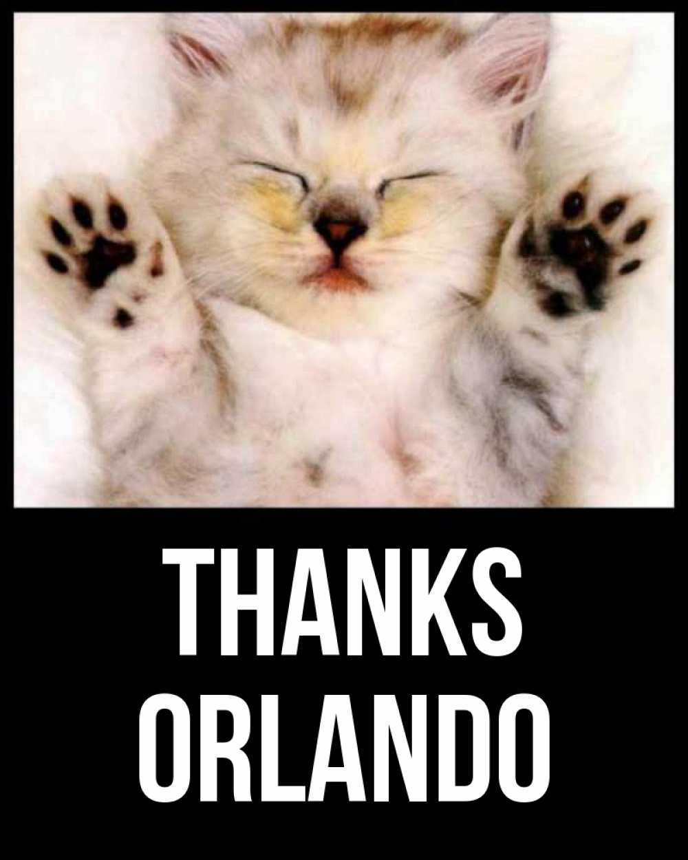 Greetings card с именем, Orlando Thanks маленький котенок Greetings with text for free download 