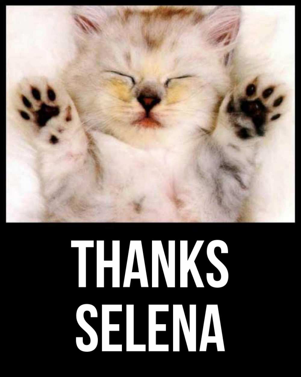 Greetings card с именем, Selena Thanks маленький котенок Greetings with text for free download 