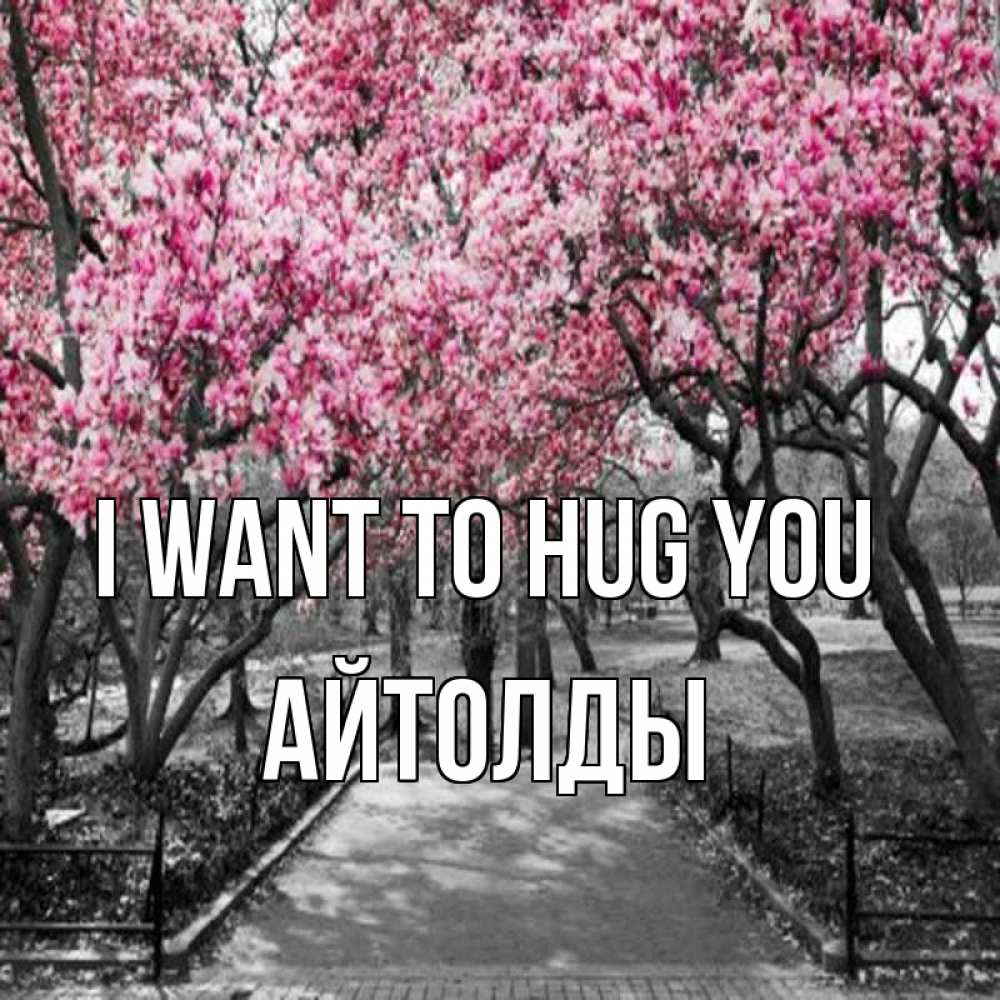 Greetings card с именем, АЙТОЛДЫ I want to hug you обработанное фото Greetings with text for free download 