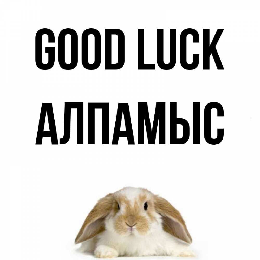 Greetings card с именем, Алпамыс Good luck открытки с произвольным текстом который можно вставить в открытку и создать ее самостоятельно бесплатно онлайн Greetings with text for free download 