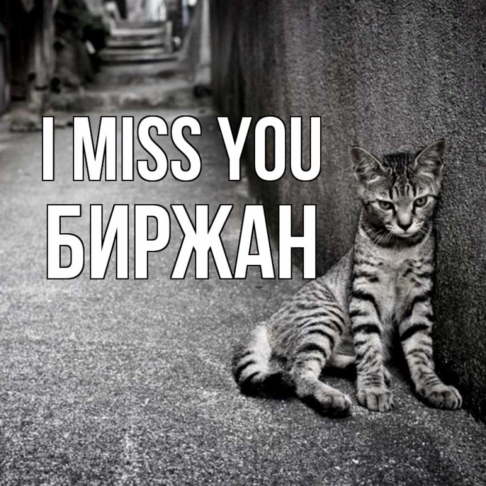 Greetings card с именем, Биржан I miss you одиноко котику Greetings with text for free download 