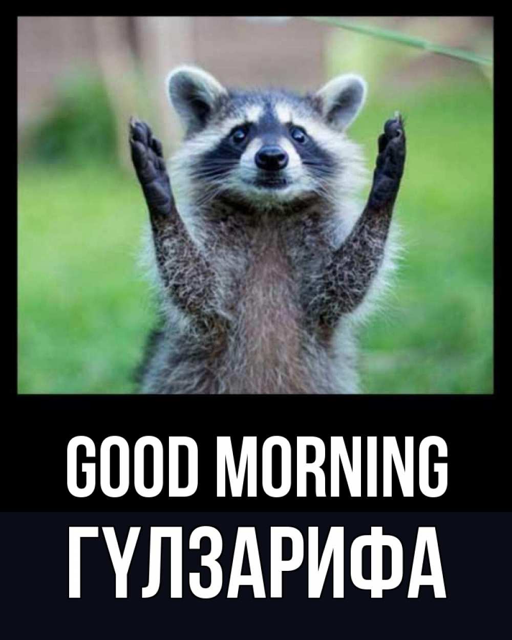 Greetings card с именем, ГҮЛЗАРИФА Good morning хорошее настроение утречком Greetings with text for free download 