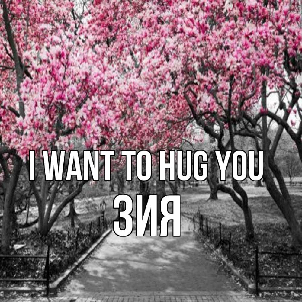 Greetings card с именем, ЗИЯ I want to hug you обработанное фото Greetings with text for free download 