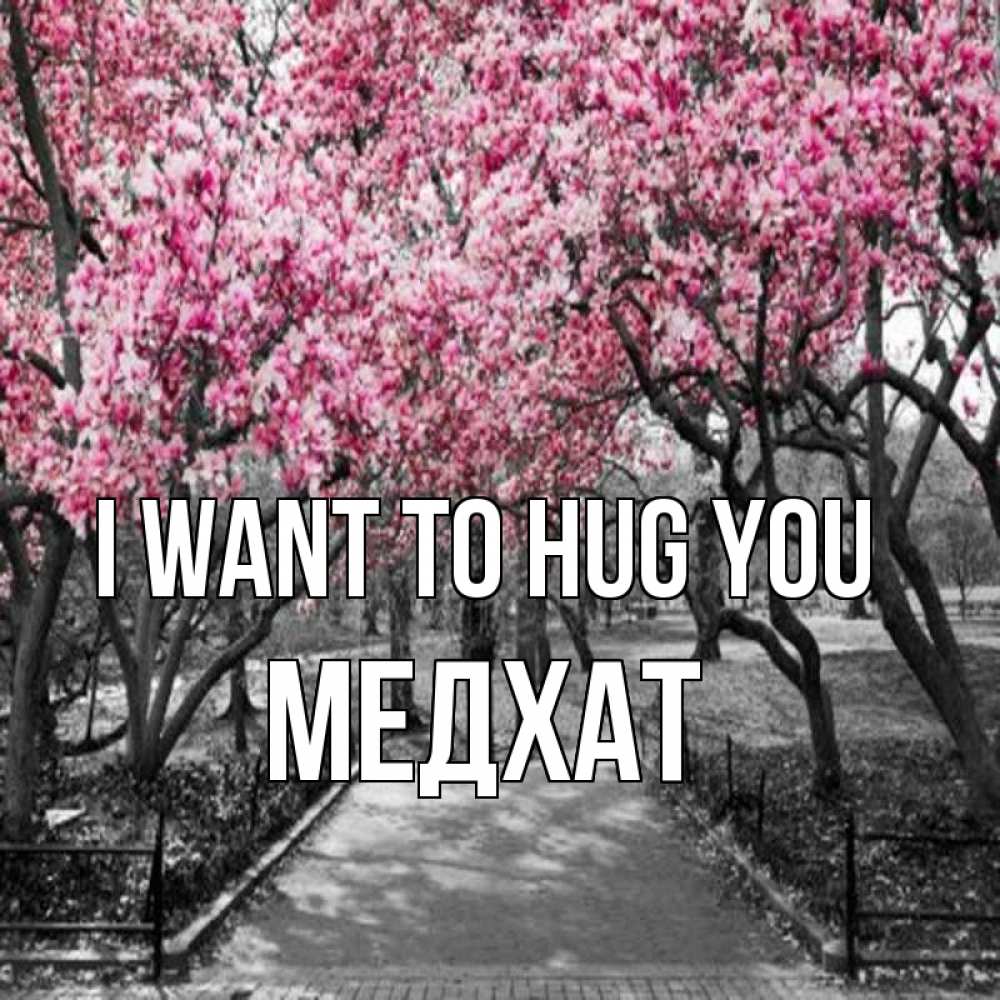 Greetings card с именем, МЕДХАТ I want to hug you обработанное фото Greetings with text for free download 