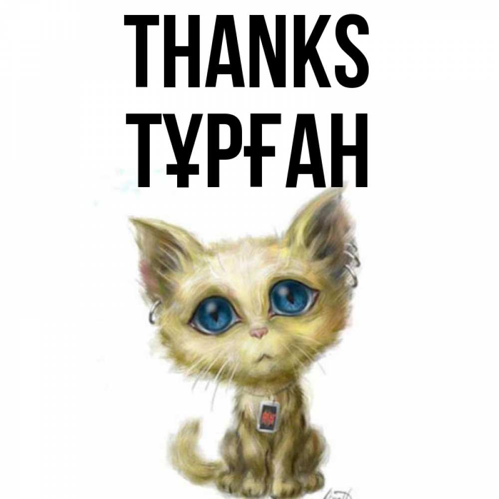Greetings card с именем, ТҰРҒАН Thanks рисованный кот благодарит вас Greetings with text for free download 