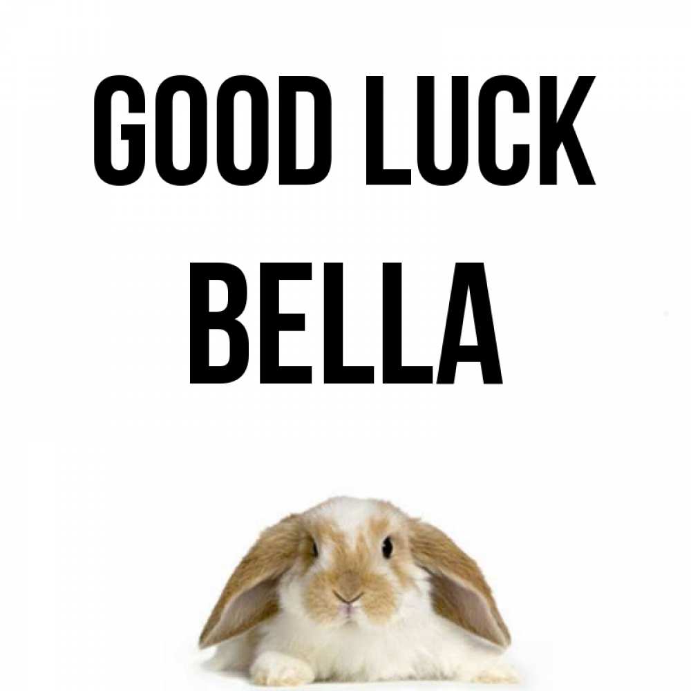 Greetings card с именем, Bella Good luck открытки с произвольным текстом который можно вставить в открытку и создать ее самостоятельно бесплатно онлайн Greetings with text for free download 
