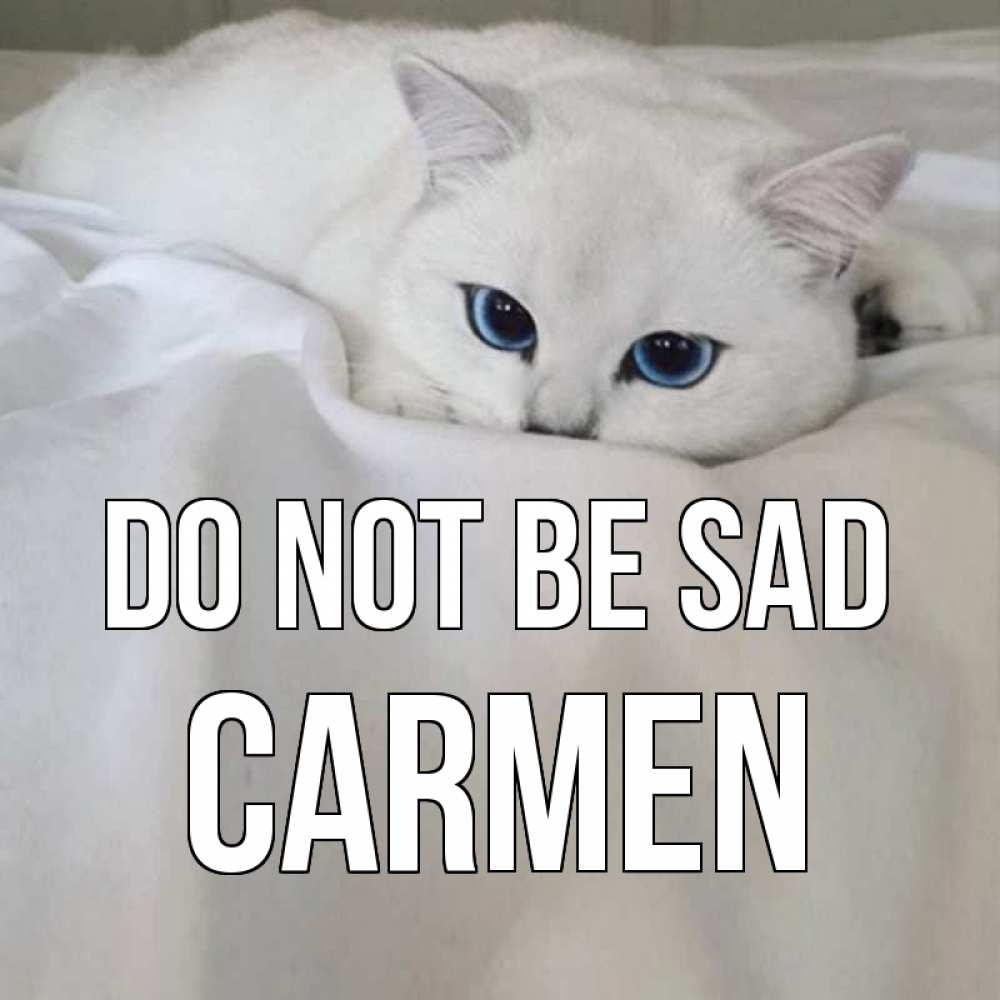 Greetings card с именем, Carmen Do not be sad белый кот с голубыми глазами на белоснежной кровати Greetings with text for free download 