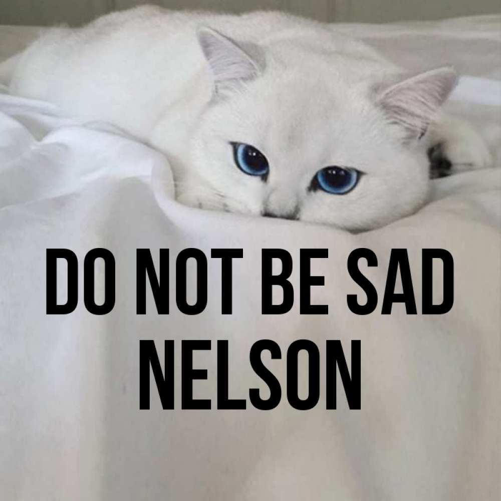 Greetings card с именем, Nelson Do not be sad Голубоглазая кошка Greetings with text for free download 