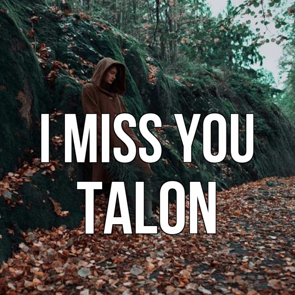 Greetings card с именем, Talon I miss you скука 1 Greetings with text for free download 