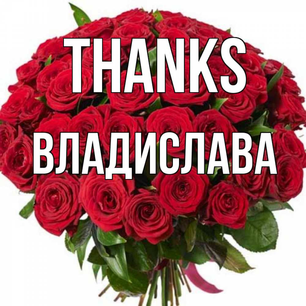 Greetings card с именем, Владислава Thanks букет красных роз Greetings with text for free download 