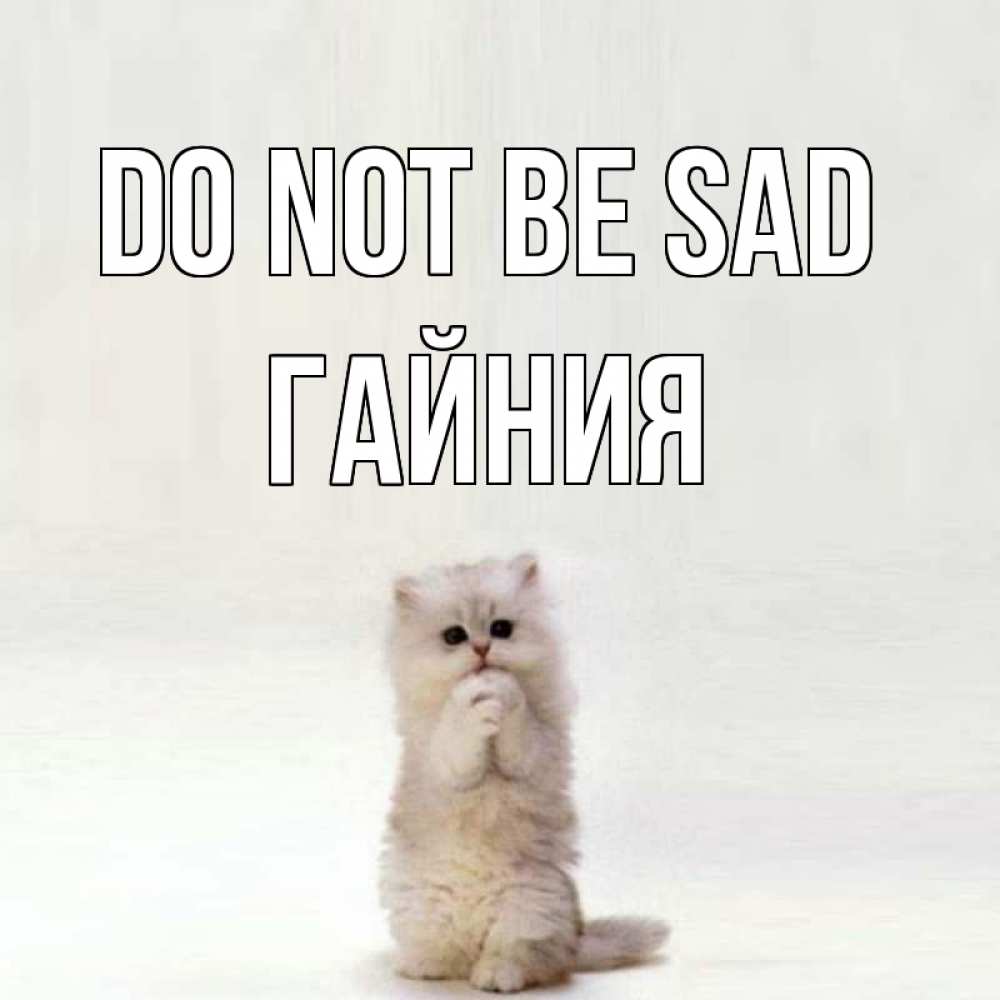 Greetings card с именем, ГАЙНИЯ Do not be sad грустный кот Greetings with text for free download 