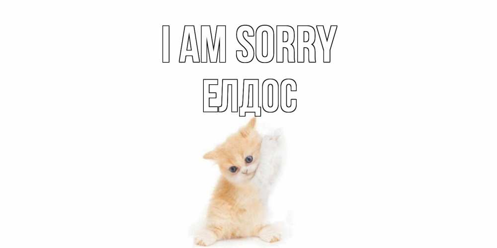 Greetings card с именем, Елдос I am sorry кот Greetings with text for free download 