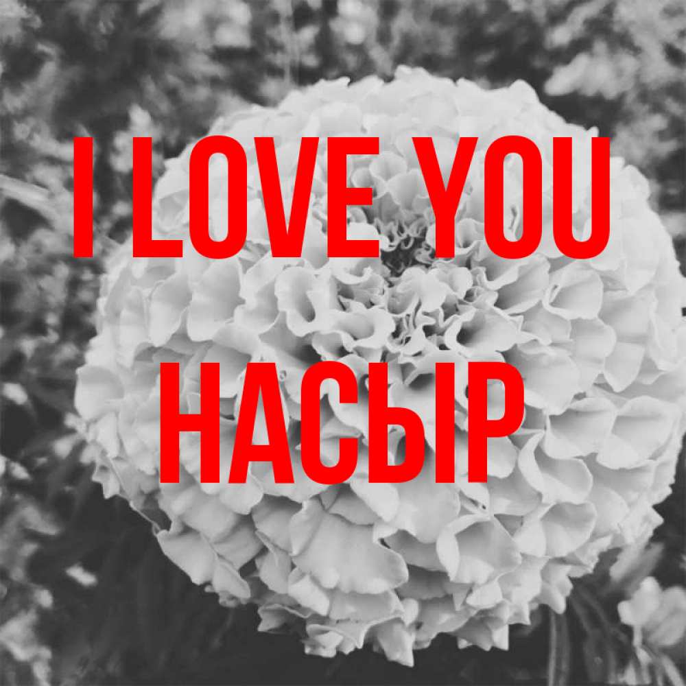 Greetings card с именем, НАСЫР I love you подпись Greetings with text for free download 