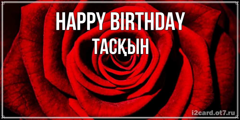 Greetings card с именем, ТАСҚЫН Happy Birthday алая роза Greetings with text for free download 