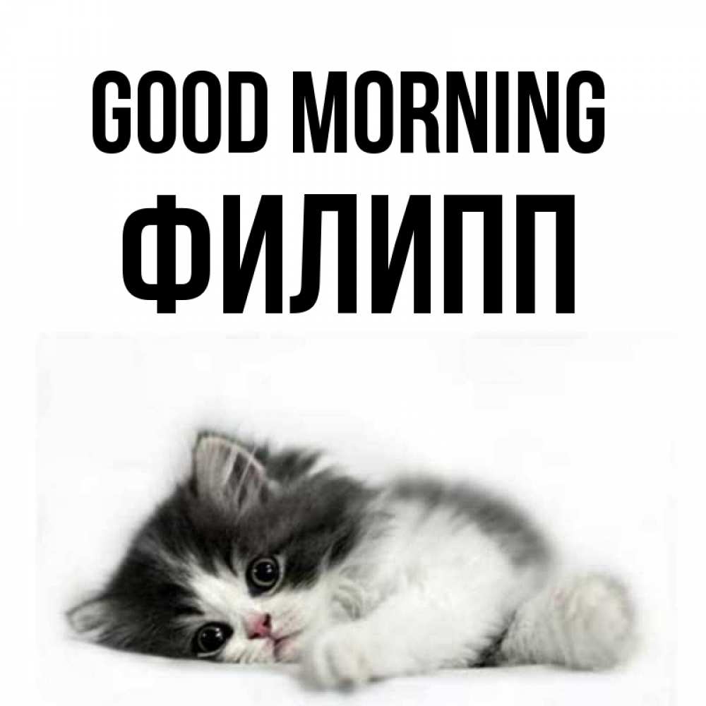 Greetings card с именем, Филипп Good morning кот лапки Greetings with text for free download 