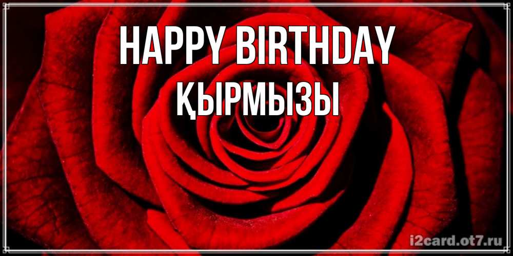 Greetings card с именем, ҚЫРМЫЗЫ Happy Birthday алая роза Greetings with text for free download 