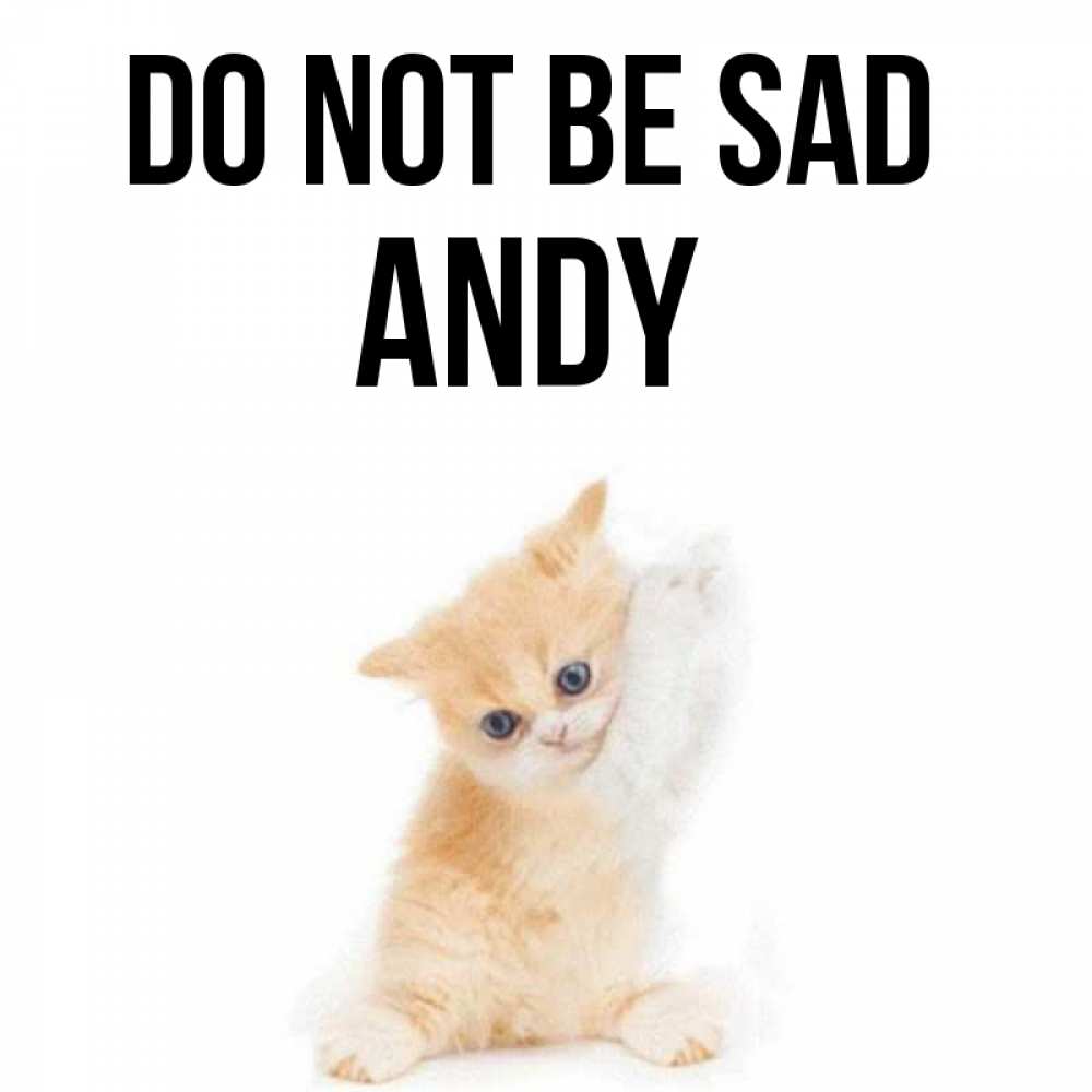 Greetings card с именем, Andy Do not be sad просящий кот Greetings with text for free download 