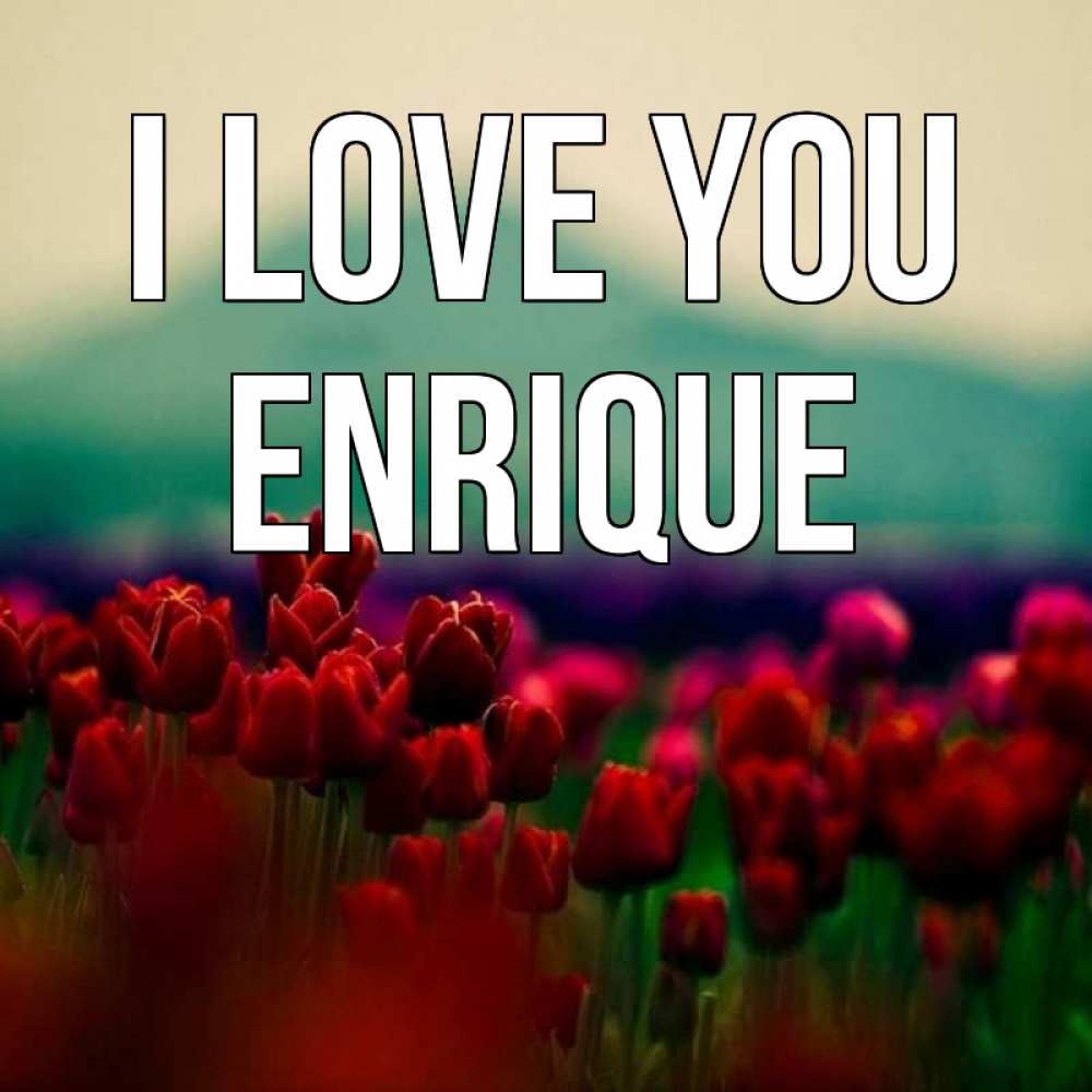 Greetings card с именем, Enrique I love you тюльпаны 4 Greetings with text for free download 