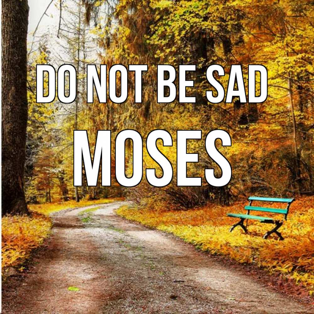 Greetings card с именем, Moses Do not be sad зеленая лавочка Greetings with text for free download 
