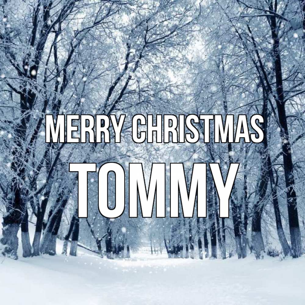 Greetings card с именем, Tommy Merry Christmas снег, лес, парк Greetings with text for free download 