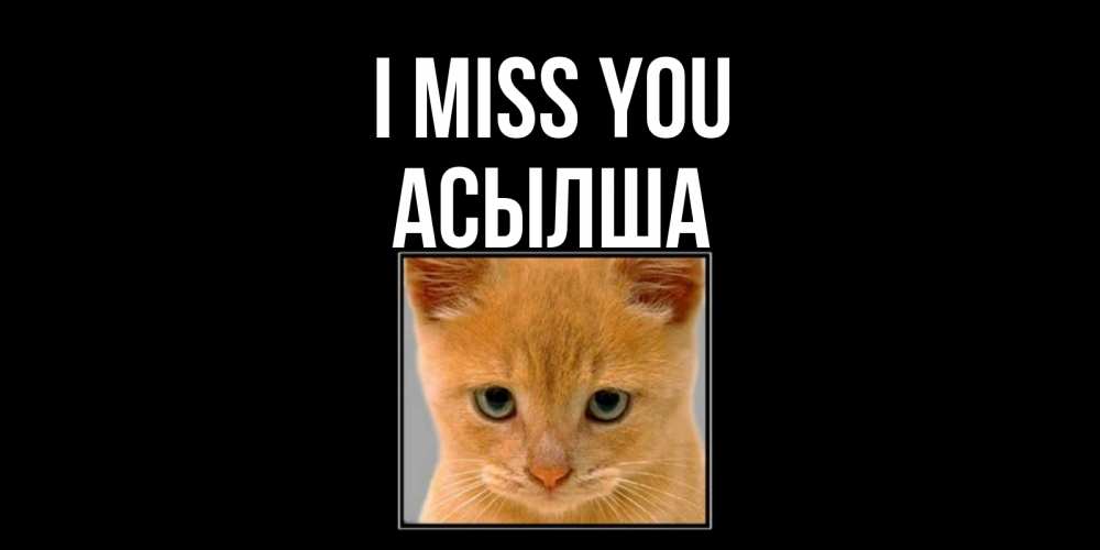 Greetings card с именем, АСЫЛША I miss you открытки рыжий котенок скучает по тебе Greetings with text for free download 