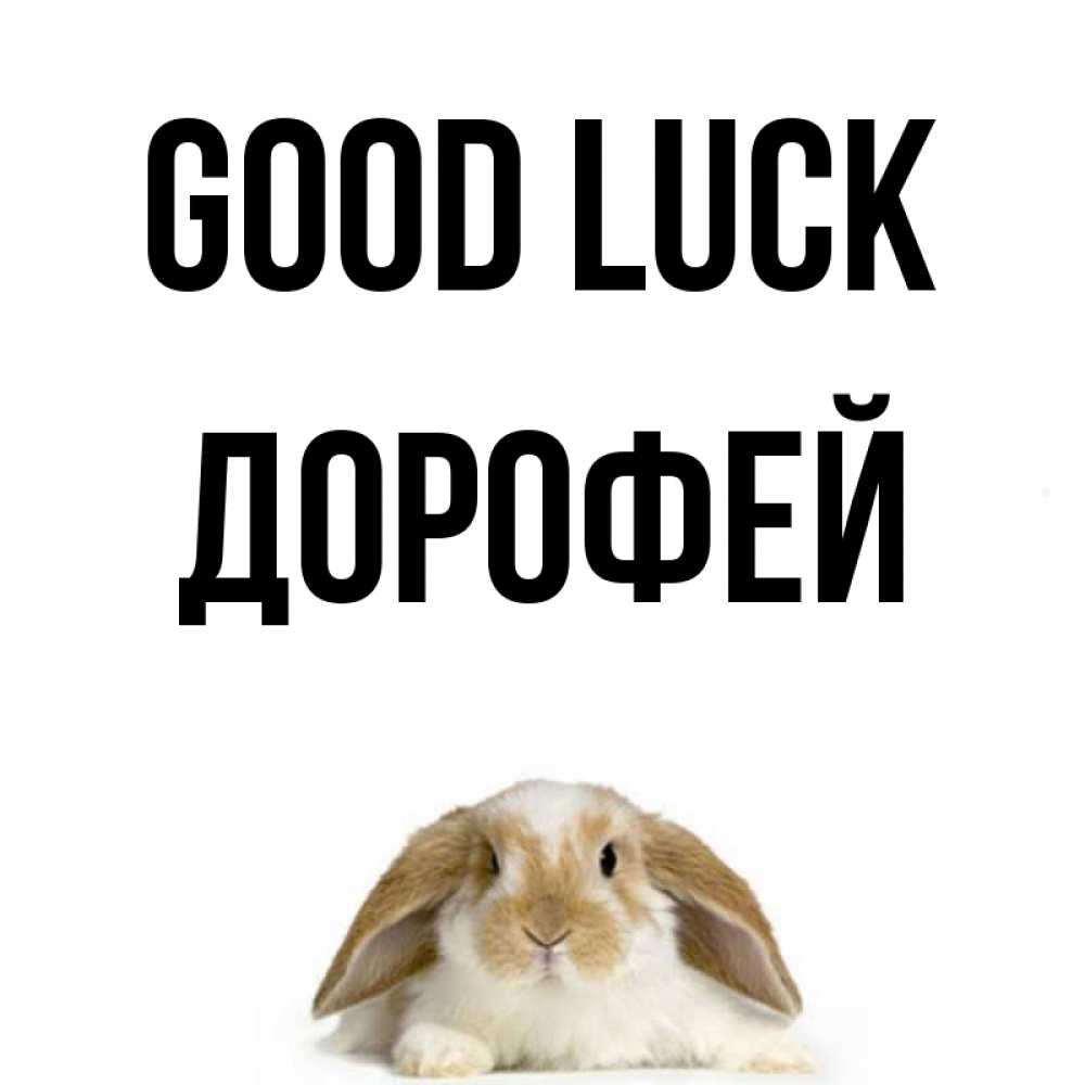 Greetings card с именем, Дорофей Good luck открытки с произвольным текстом который можно вставить в открытку и создать ее самостоятельно бесплатно онлайн Greetings with text for free download 