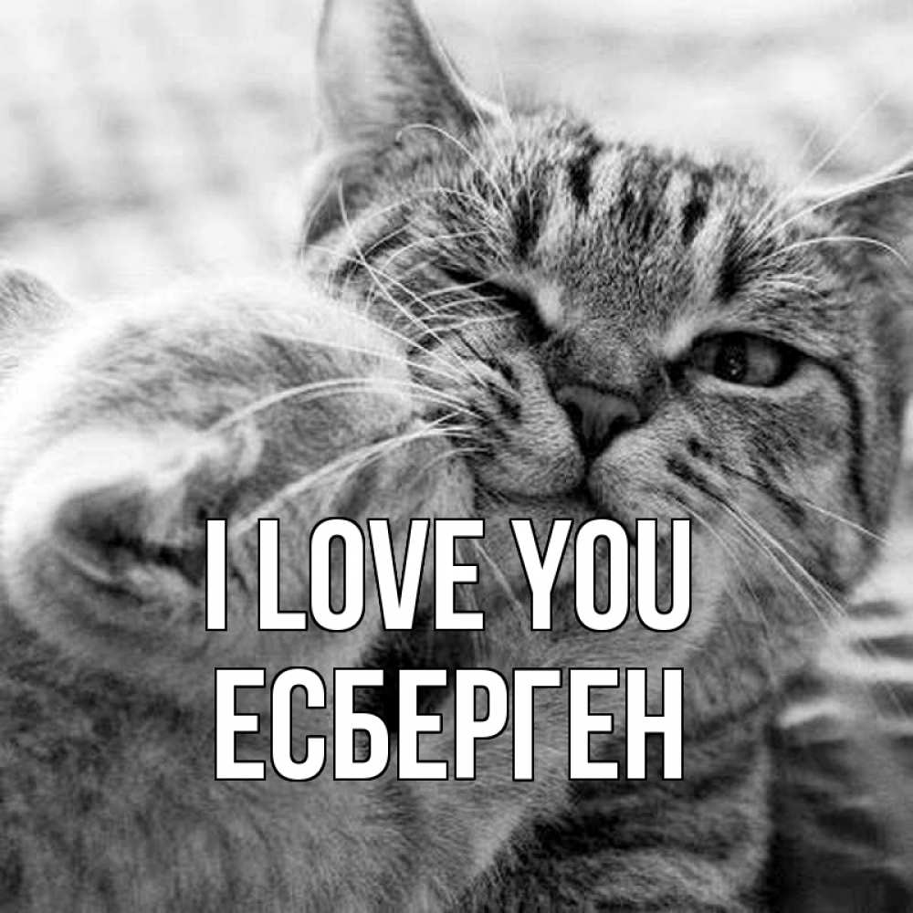Greetings card с именем, Есберген I love you коты Greetings with text for free download 