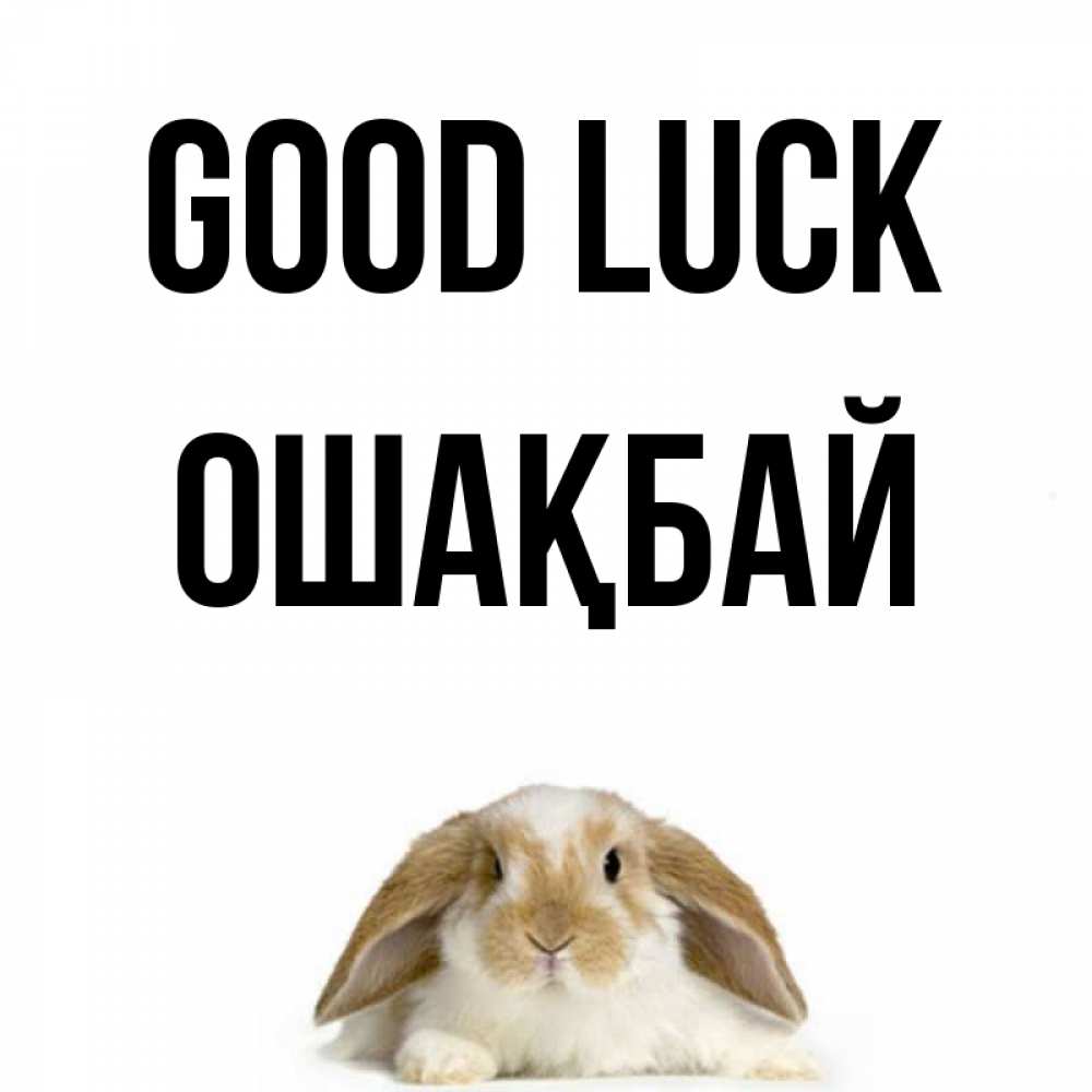 Greetings card с именем, ОШАҚБАЙ Good luck открытки с произвольным текстом который можно вставить в открытку и создать ее самостоятельно бесплатно онлайн Greetings with text for free download 