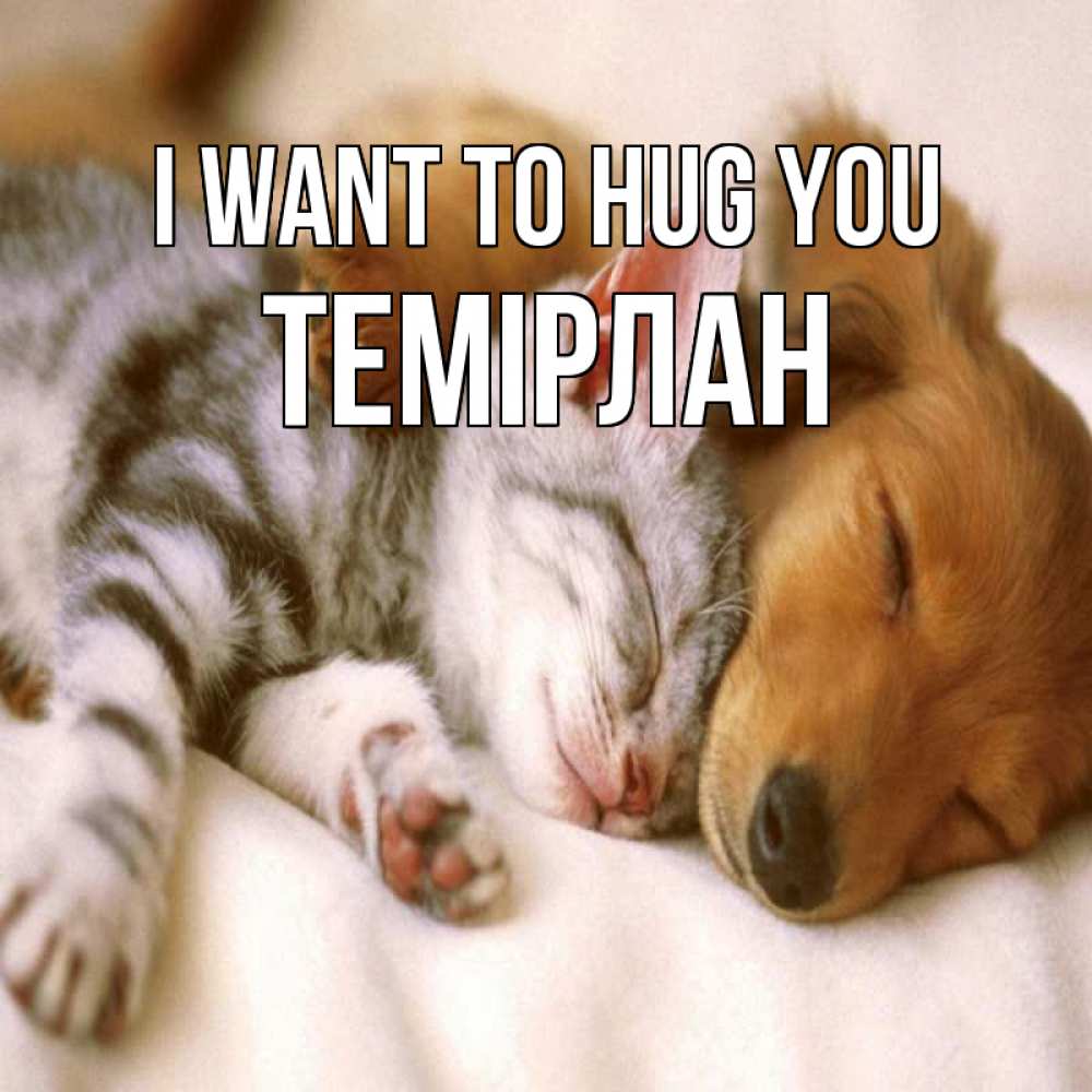 Greetings card с именем, ТЕМІРЛАН I want to hug you пес и котенок Greetings with text for free download 