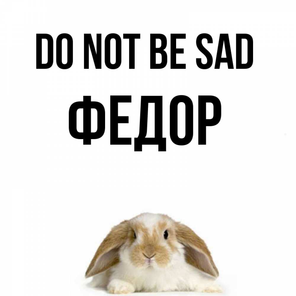 Greetings card с именем, Федор Do not be sad коричнево белый заяц с большими ушками Greetings with text for free download 