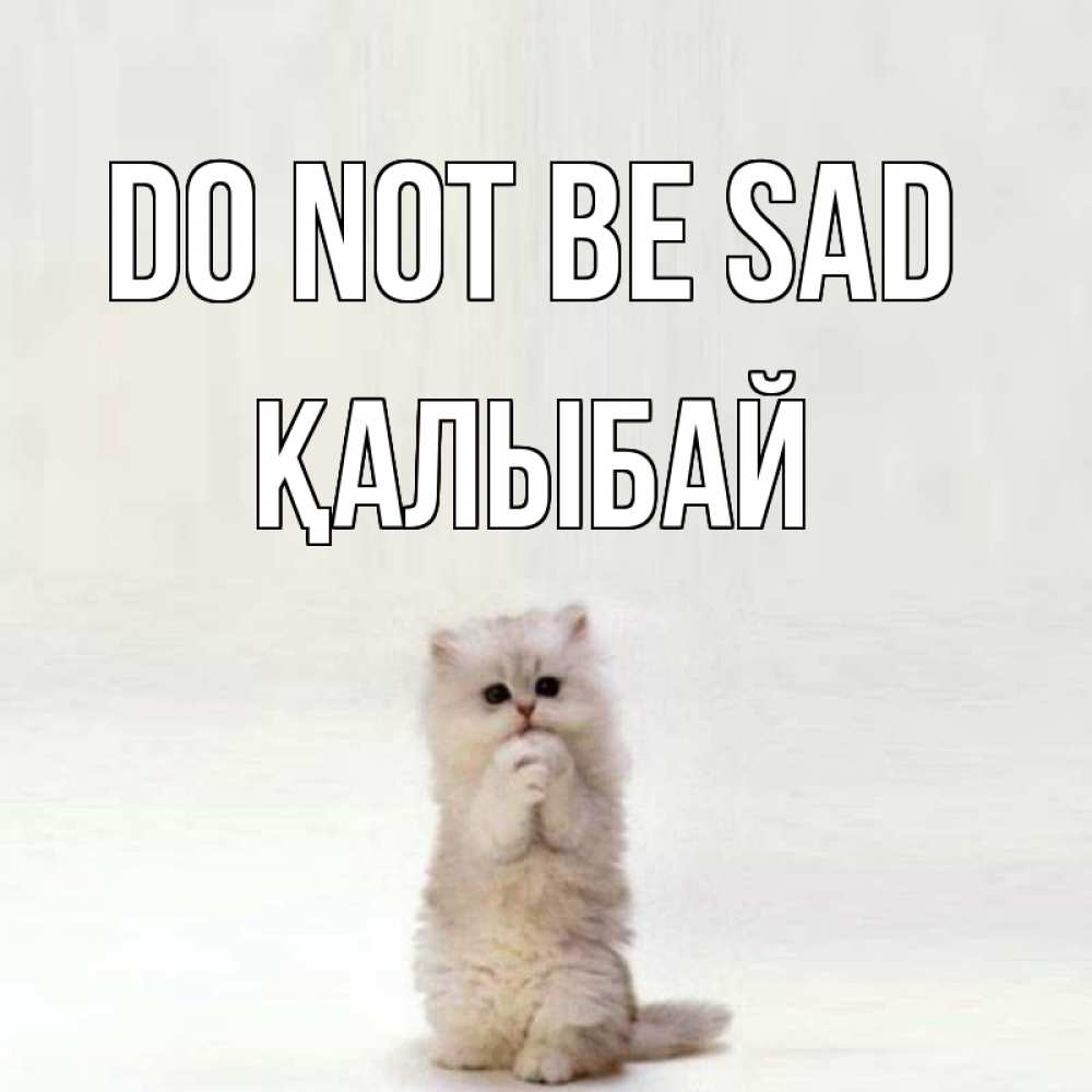 Greetings card с именем, Қалыбай Do not be sad грустный кот Greetings with text for free download 