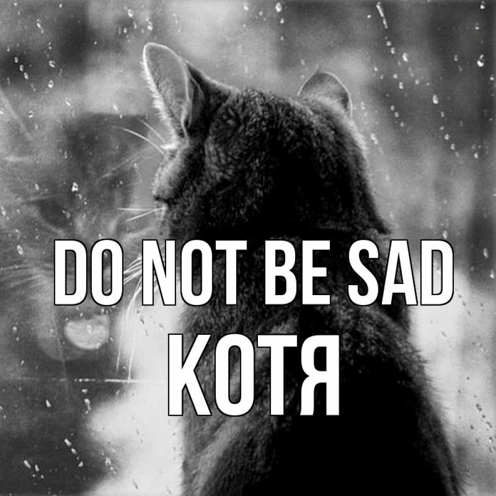 Greetings card с именем, Котя Do not be sad отражение кота 1 Greetings with text for free download 