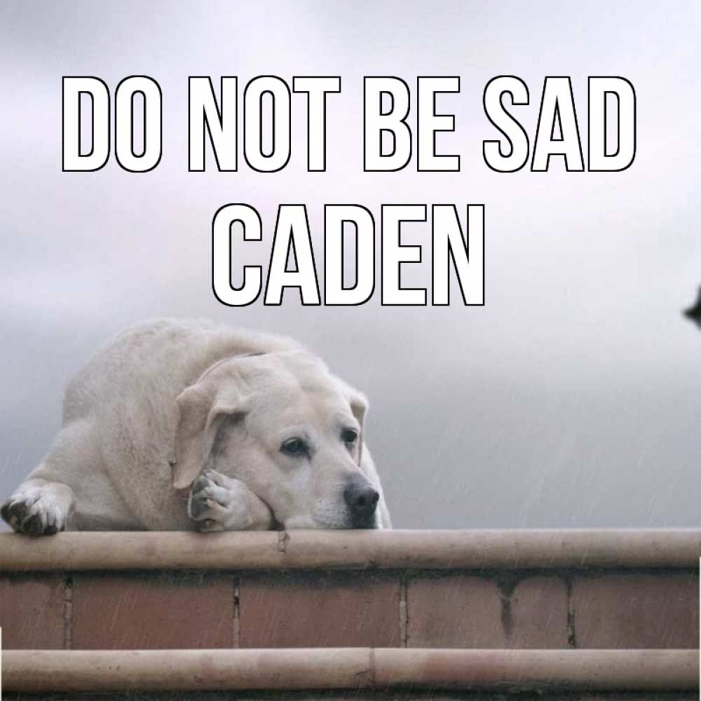 Greetings card с именем, Caden Do not be sad белый пес 1 Greetings with text for free download 