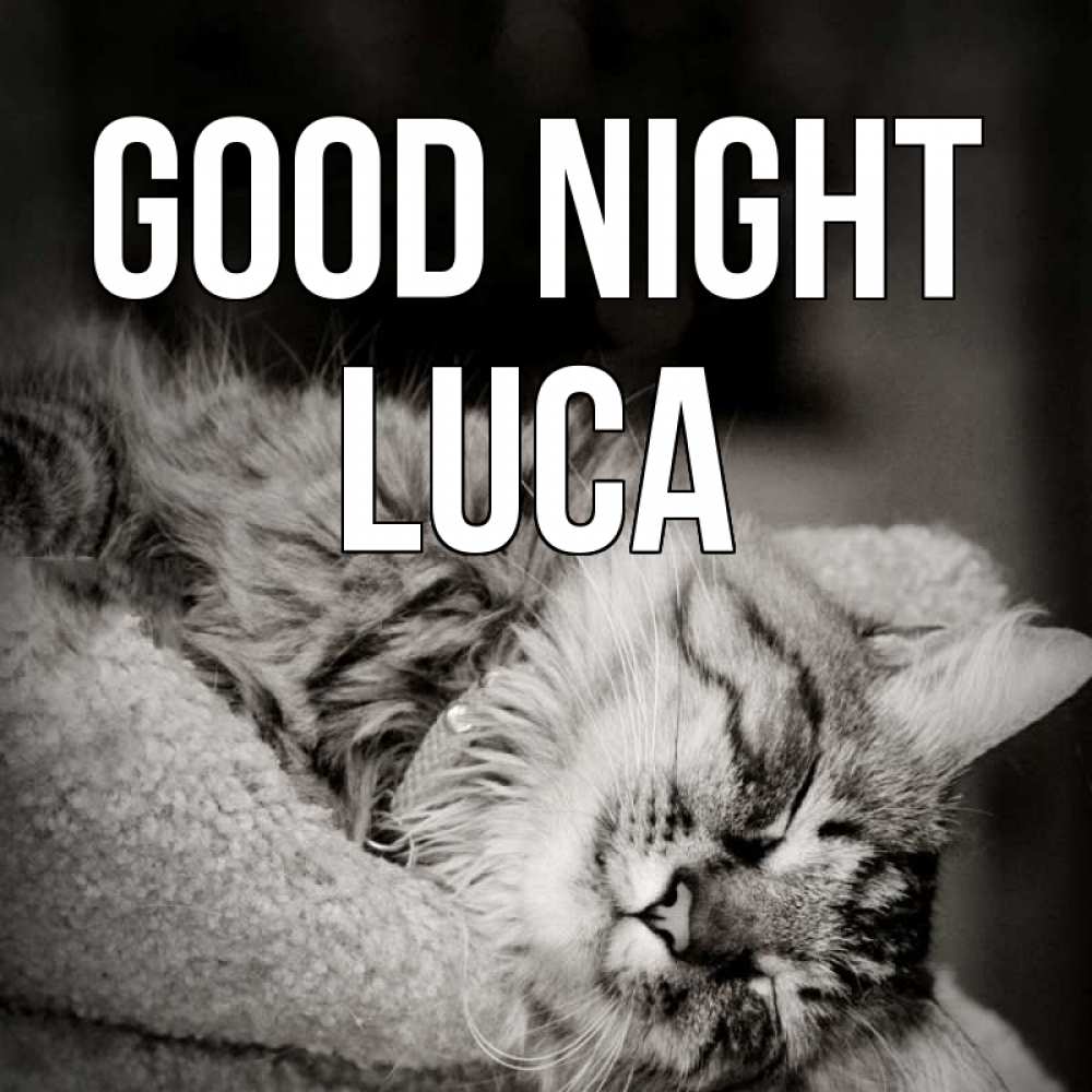 Greetings card с именем, Luca Good night котярик пушистый Greetings with text for free download 
