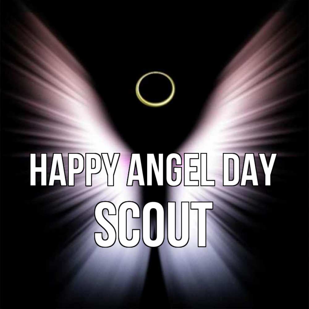 Greetings card с именем, Scout happy angel day ангел из света Greetings with text for free download 