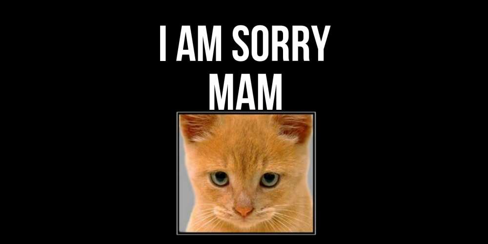 Greetings card с именем, mam I am sorry рыжий грустный кот просит прощения Greetings with text for free download 