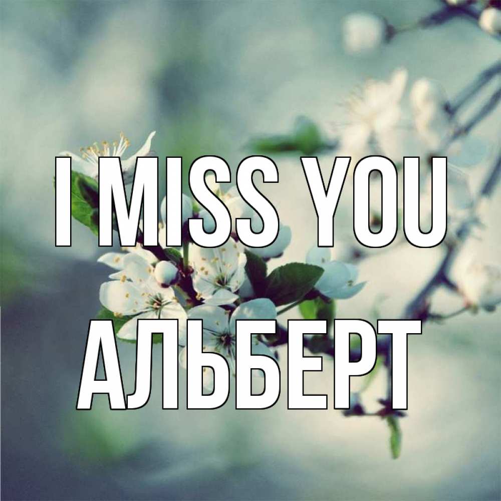Greetings card с именем, Альберт I miss you весна Greetings with text for free download 